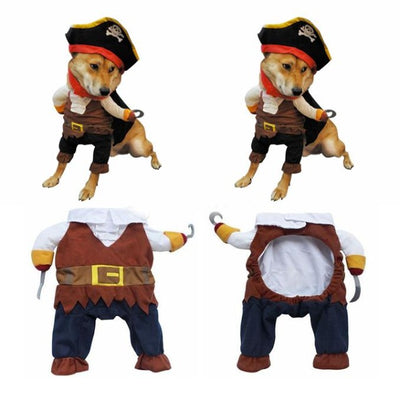 Two shiba dogs wearing a pirates costume and pirate costume on its own