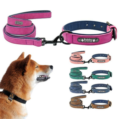 Shiba dog looking at a personalized dog collar