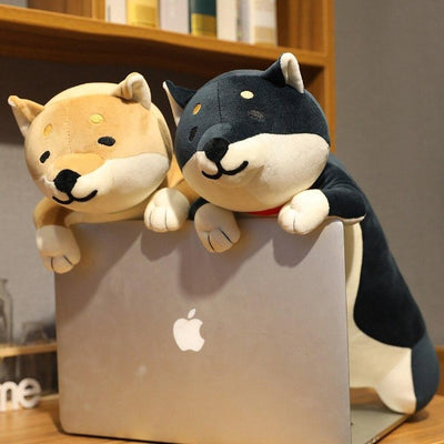 Two smiling shiba looking over a laptop