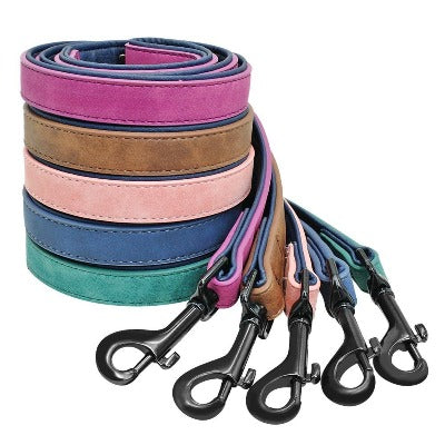 5 colours of shiba leash and collar attachment
