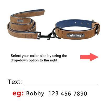 Custom collar and leash for shiba in brown