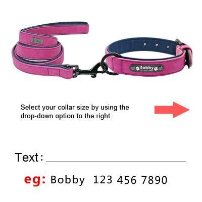 shiba collar and leash that is customizable with name