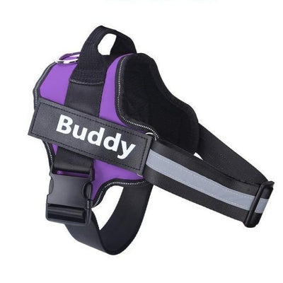 Purple harness with gray stripe along strap