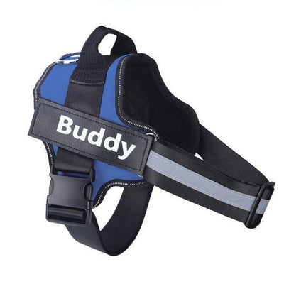 Blue shiba harness with staps