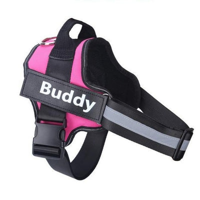 Pink harness with buddy label on it