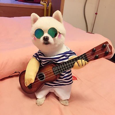 A dog wearing a blue and white t shirt guitar doge costume