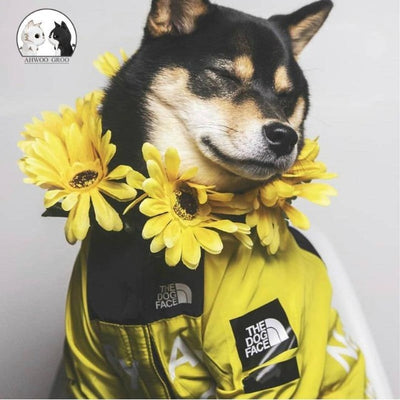 Shiba Inu Coat - Happy Shibas™