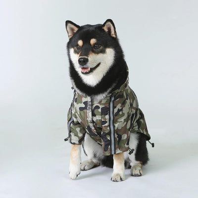 Shiba wearing a camouflage jacket