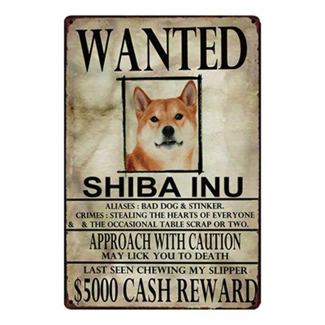 Shiba Inu Poster