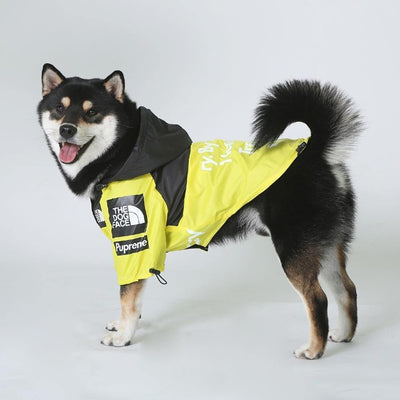 shiba dog in a yellow waterproof jacket