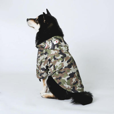 black dog wearing a camouflage coat