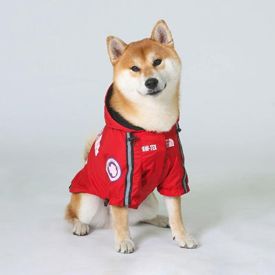 Red coat worn by a shiba inu