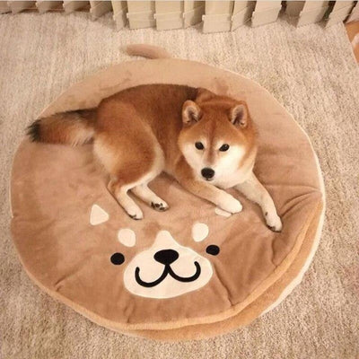 A smiley shiba face on a bed blanket with a real shiba inu on top