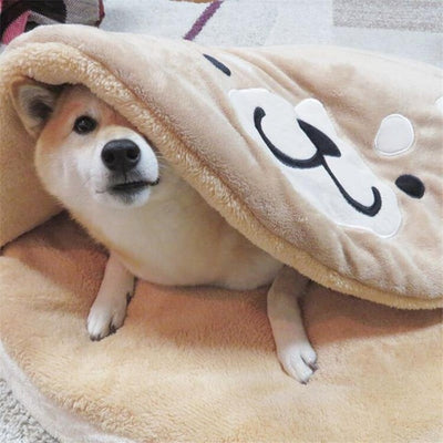 A shiba inu dog looking out of a blanket