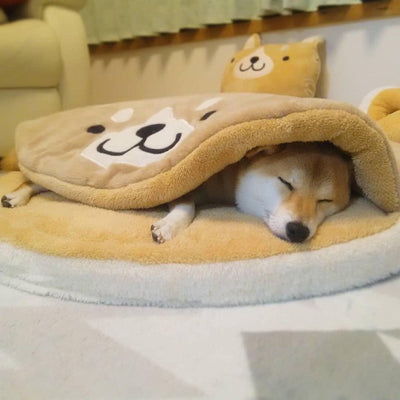 A shiba with eyes closed laying on a soft bed