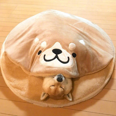 Shiba laying in a bed with shiba face