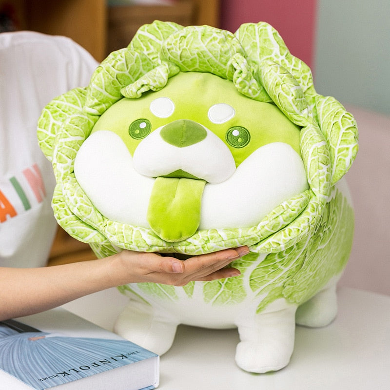 Cabbage Shibe