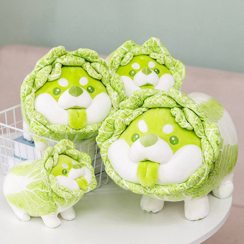 Cabbage Shibe