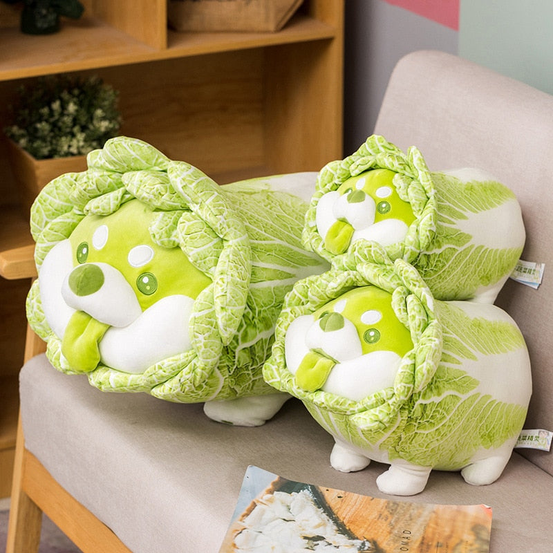 Cabbage Shibe