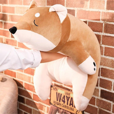 sleepy shiba inu plushie being held up against the wall