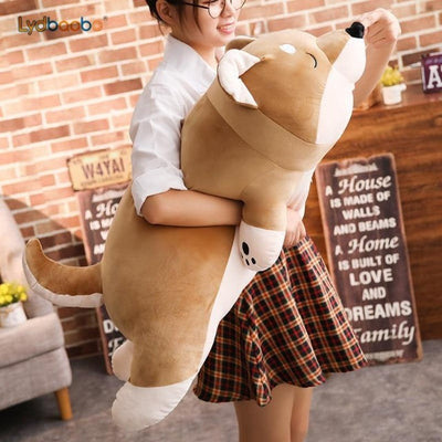 girl carrying a sleepy tired shiba as it stares at the ceiling